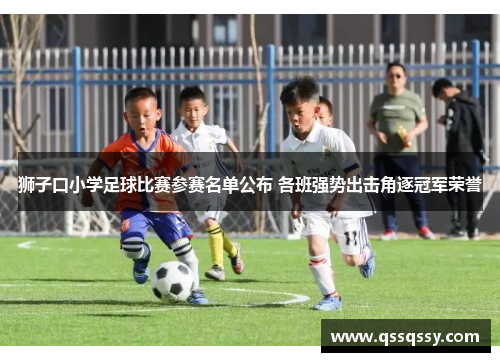 狮子口小学足球比赛参赛名单公布 各班强势出击角逐冠军荣誉