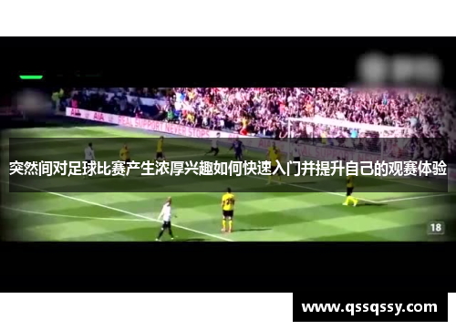 突然间对足球比赛产生浓厚兴趣如何快速入门并提升自己的观赛体验