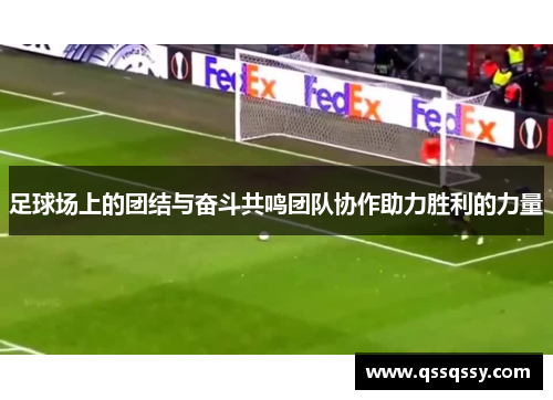 足球场上的团结与奋斗共鸣团队协作助力胜利的力量