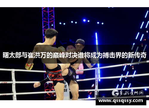 曙太郎与崔洪万的巅峰对决谁将成为搏击界的新传奇